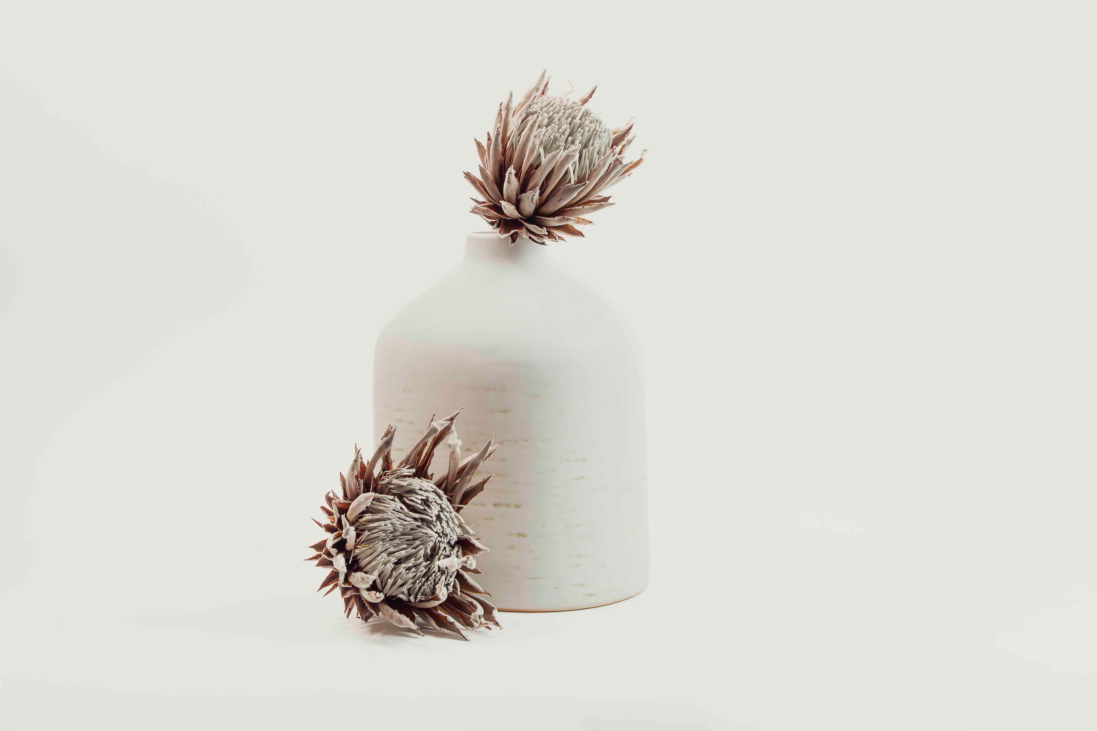 Clay & Crown