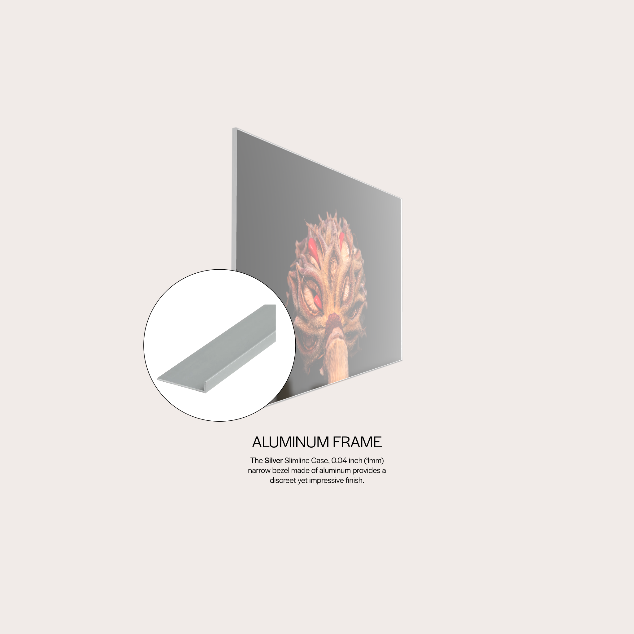Magnolia Sprout