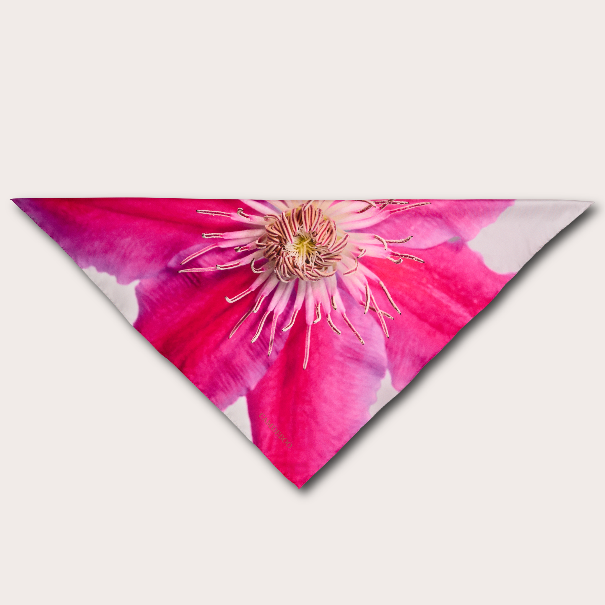 Pink Aisian Virginsbower Scarf