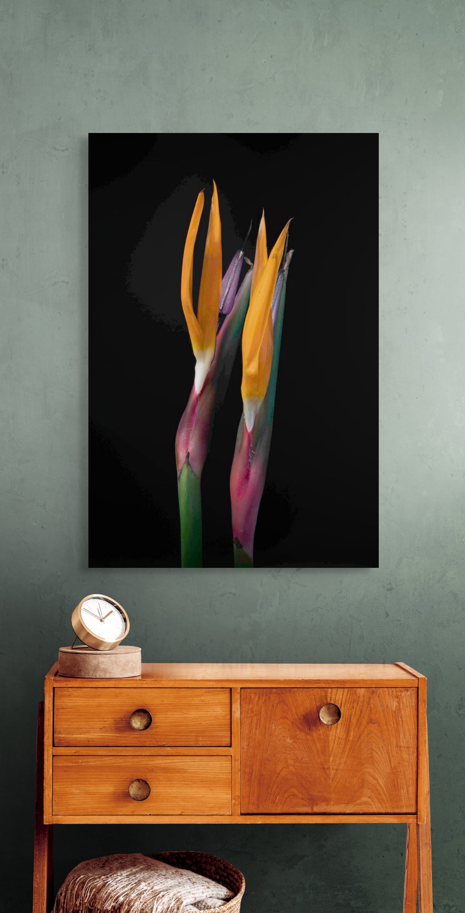 The Strilitzia Portrait
