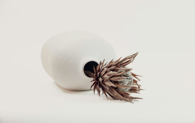 Botanical Artifact