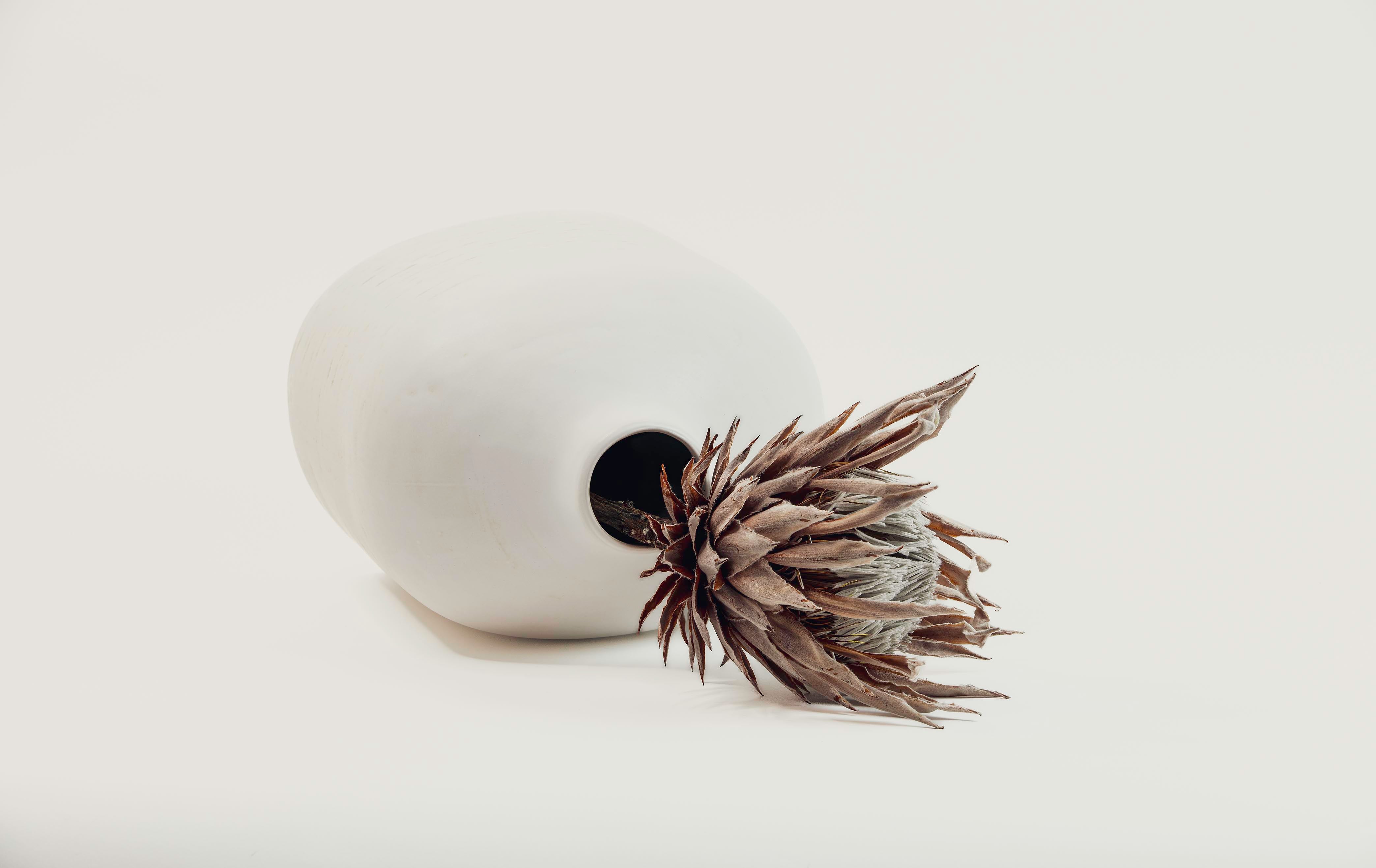 Botanical Artifact
