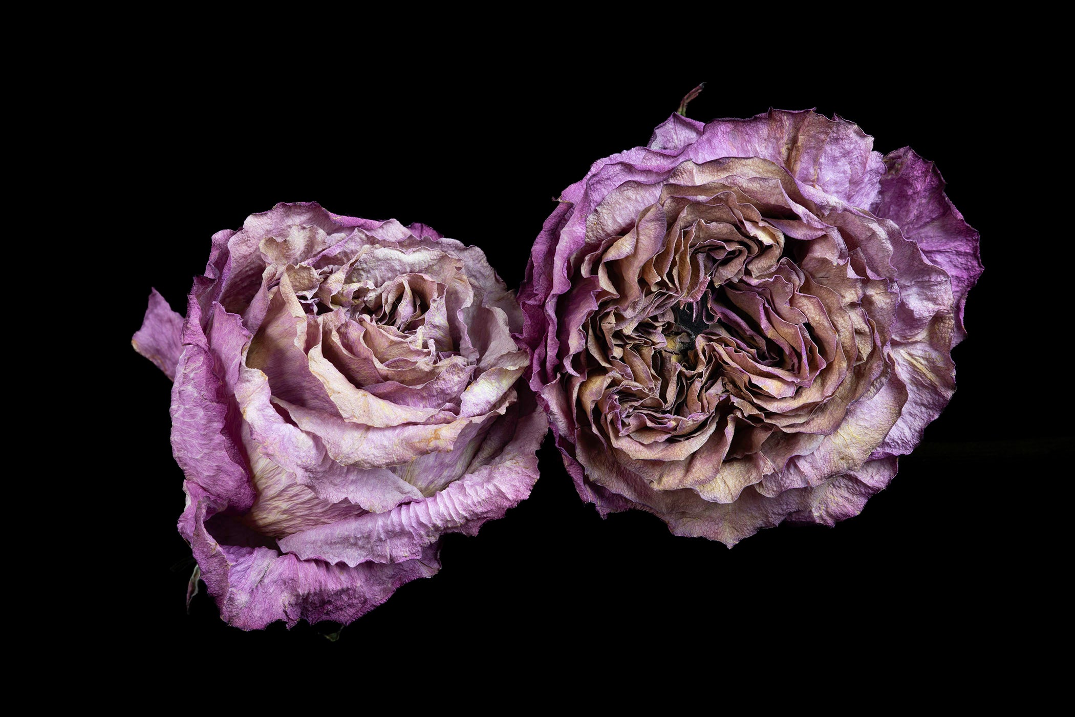 Faded Duet