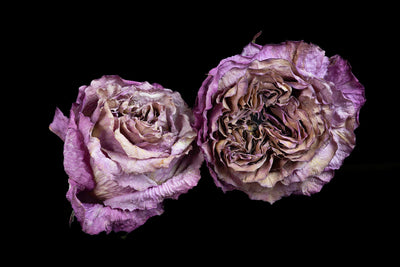 Faded Duet