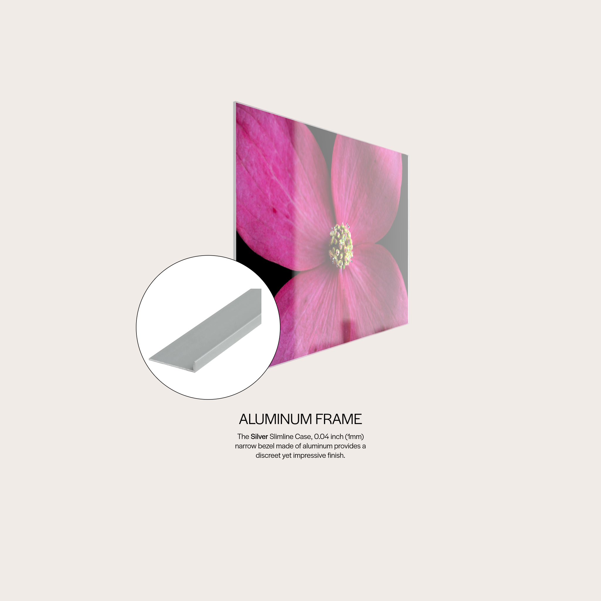 Blush Pop