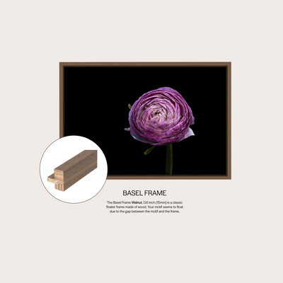 Purple Vogue