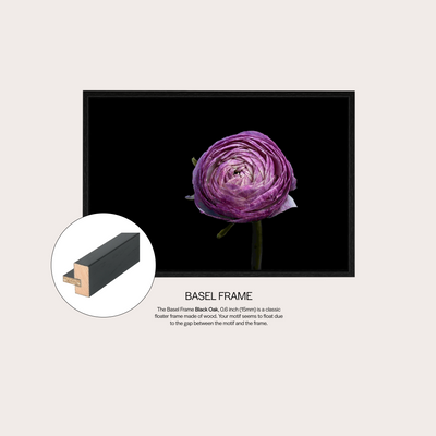 Purple Vogue