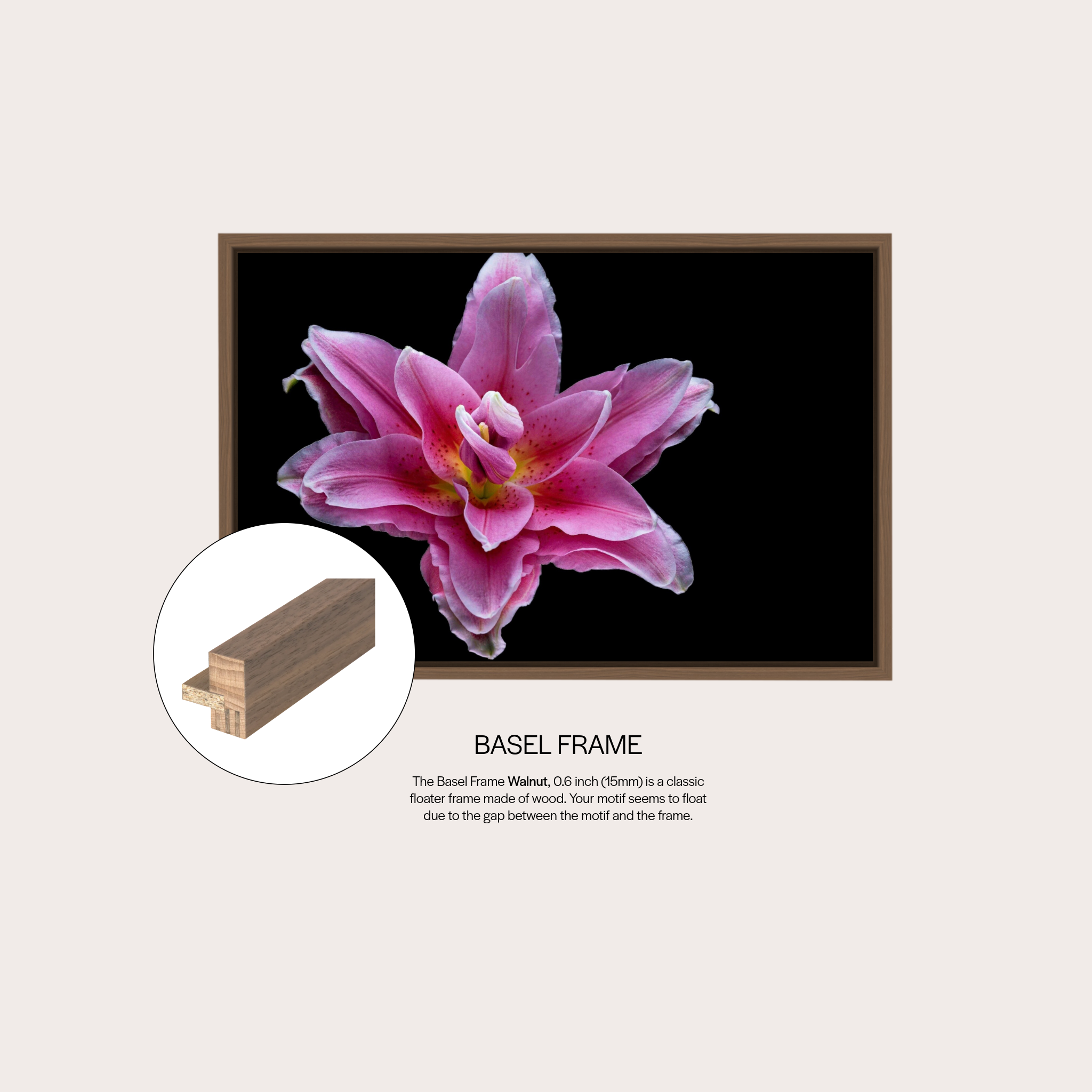 Pink Lily