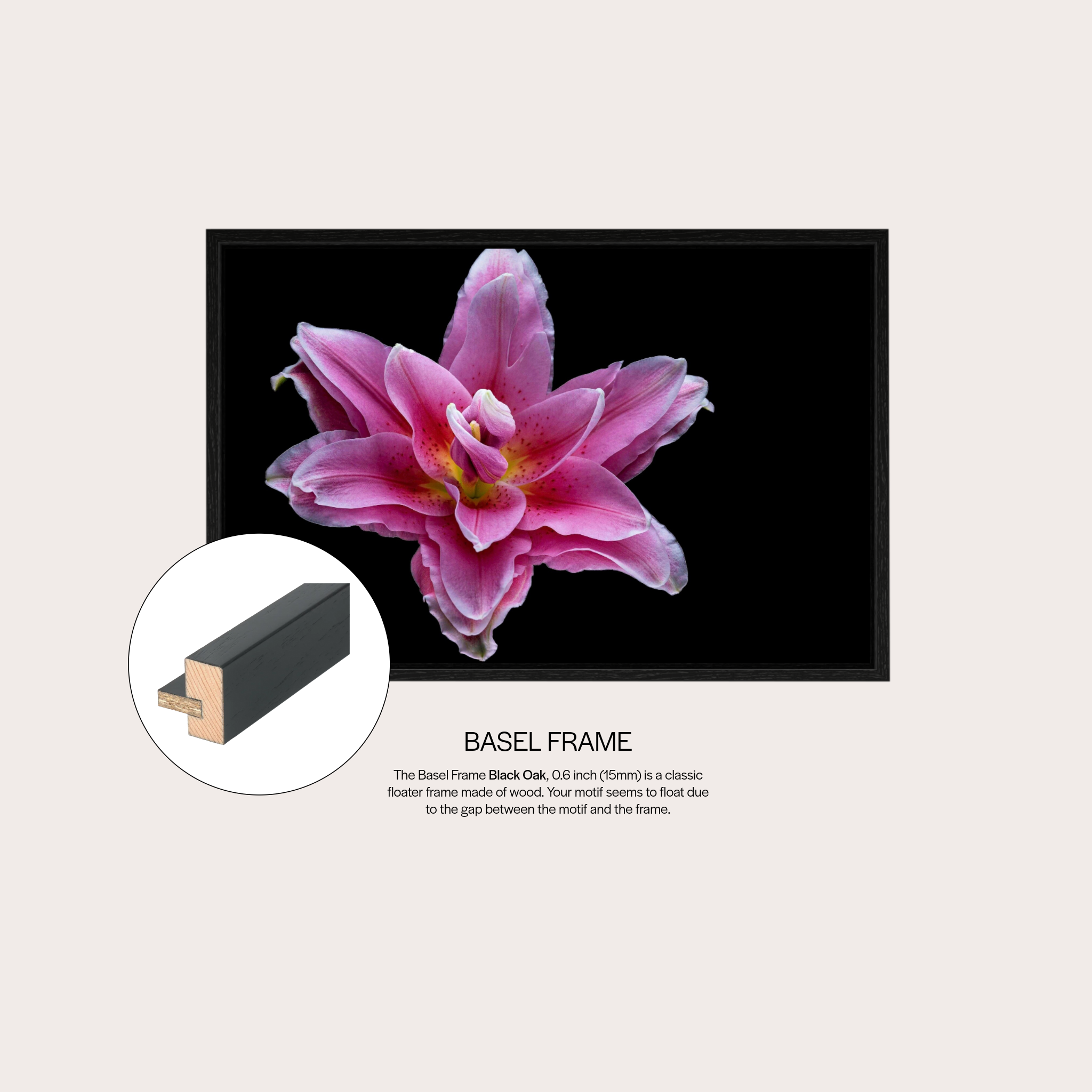 Pink Lily