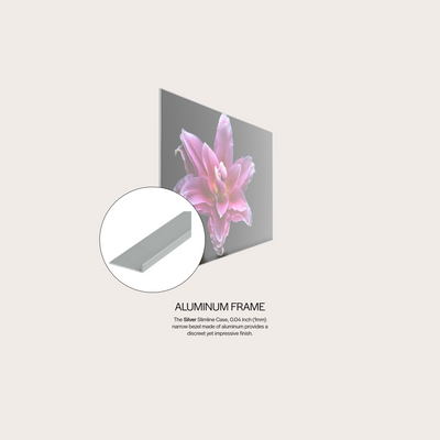 Pink Lily