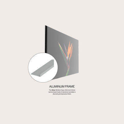 Birds of Paradise