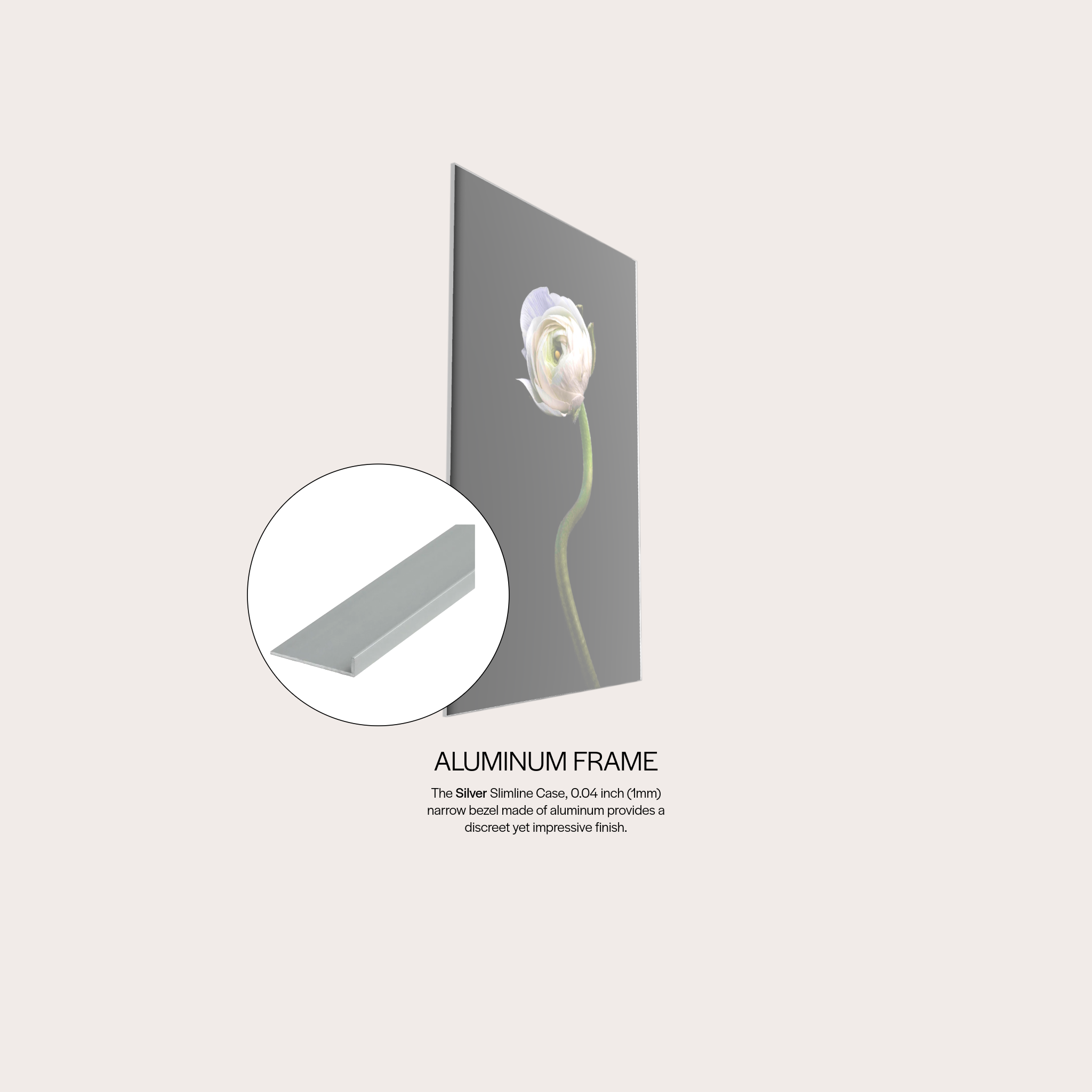 White Buttercup
