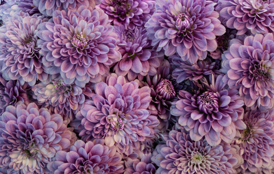 Dahlia Tablecloth