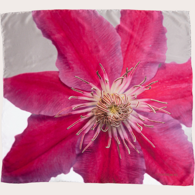 Pink Aisian Virginsbower Scarf