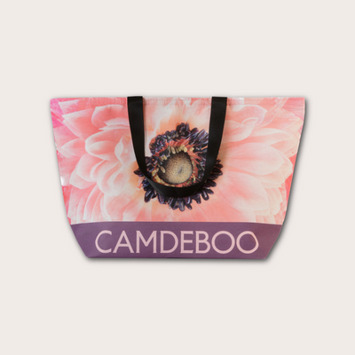 Coral Bloom