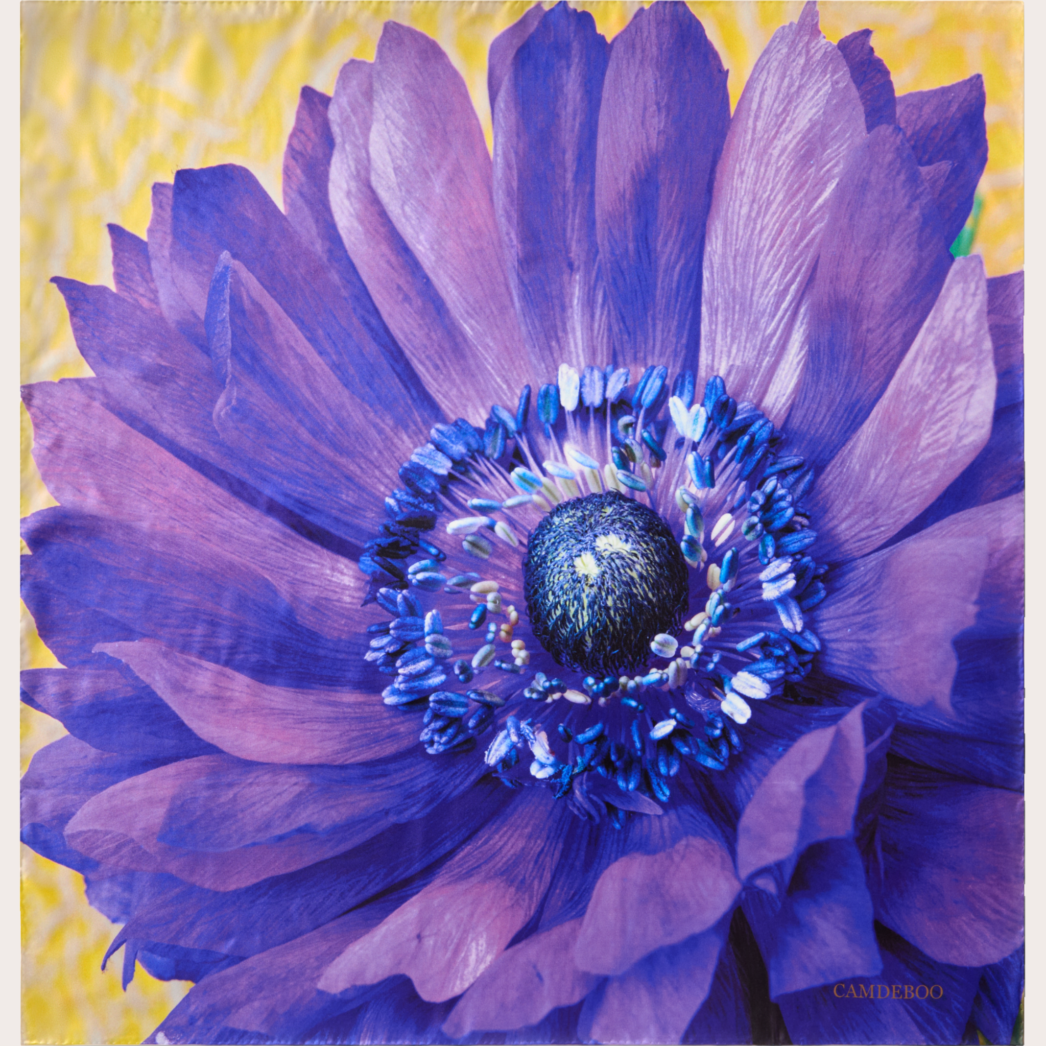 Poppy Anemone Scarf