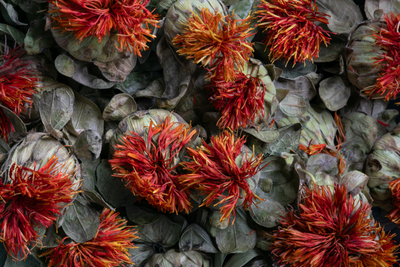 Safflower Tablecloth
