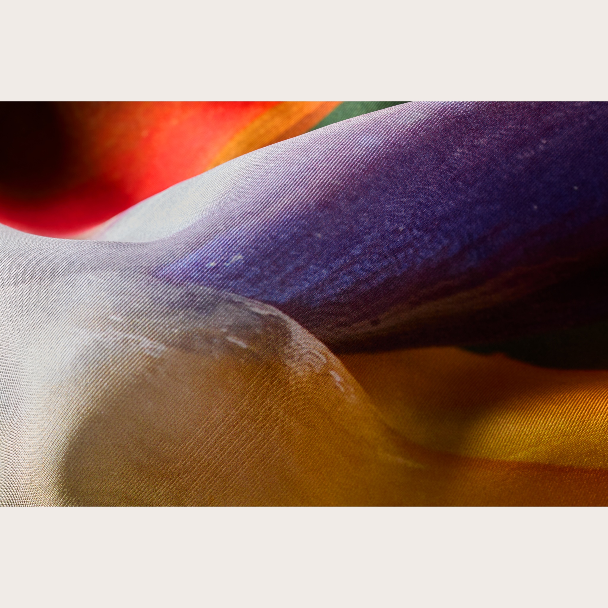 Strelitzia Scarf