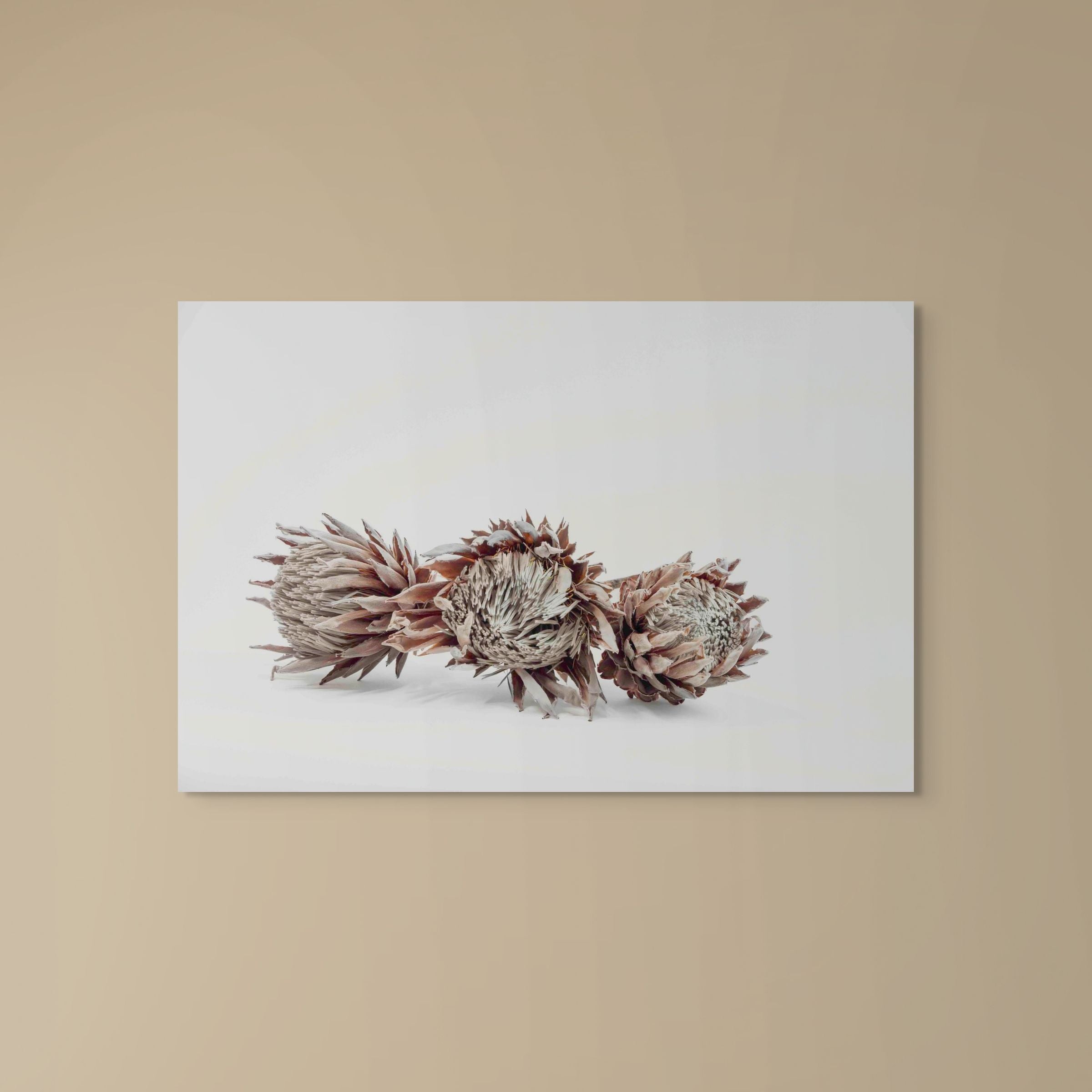 Desert Crown