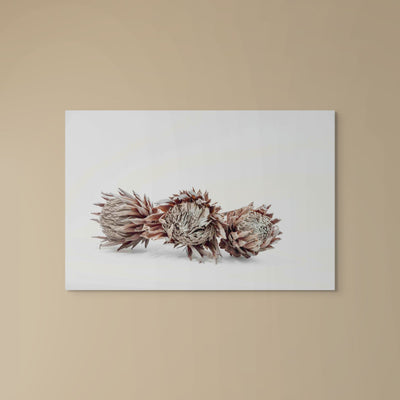 Desert Crown