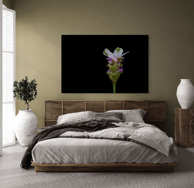 Petal Mojo