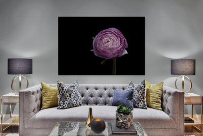 Purple Vogue