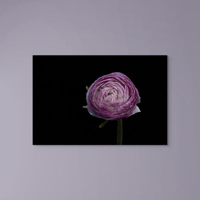 Purple Vogue