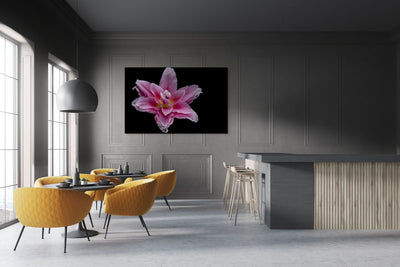 Pink Lily