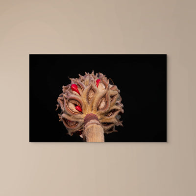 Magnolia Sprout