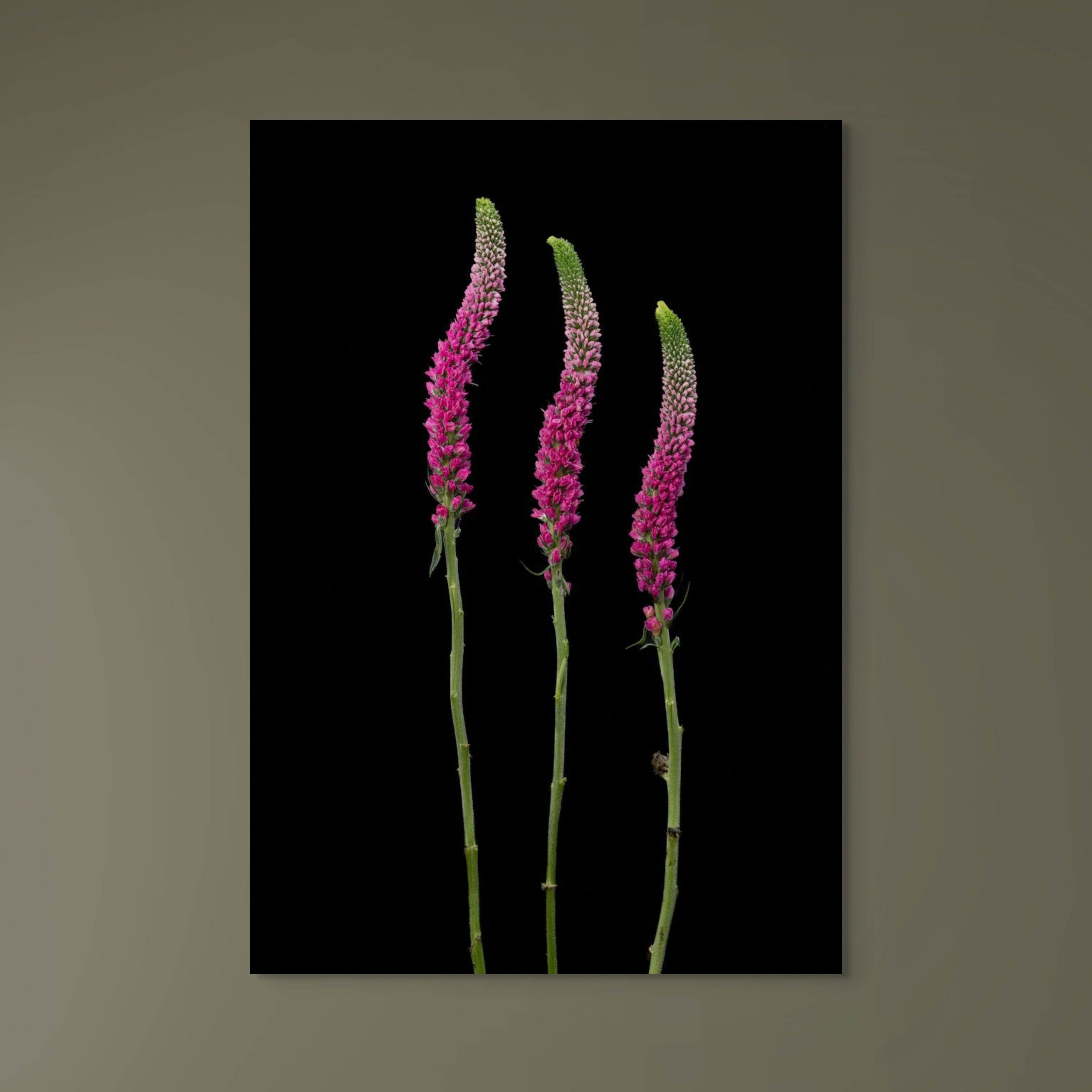 The Bloom Tower
